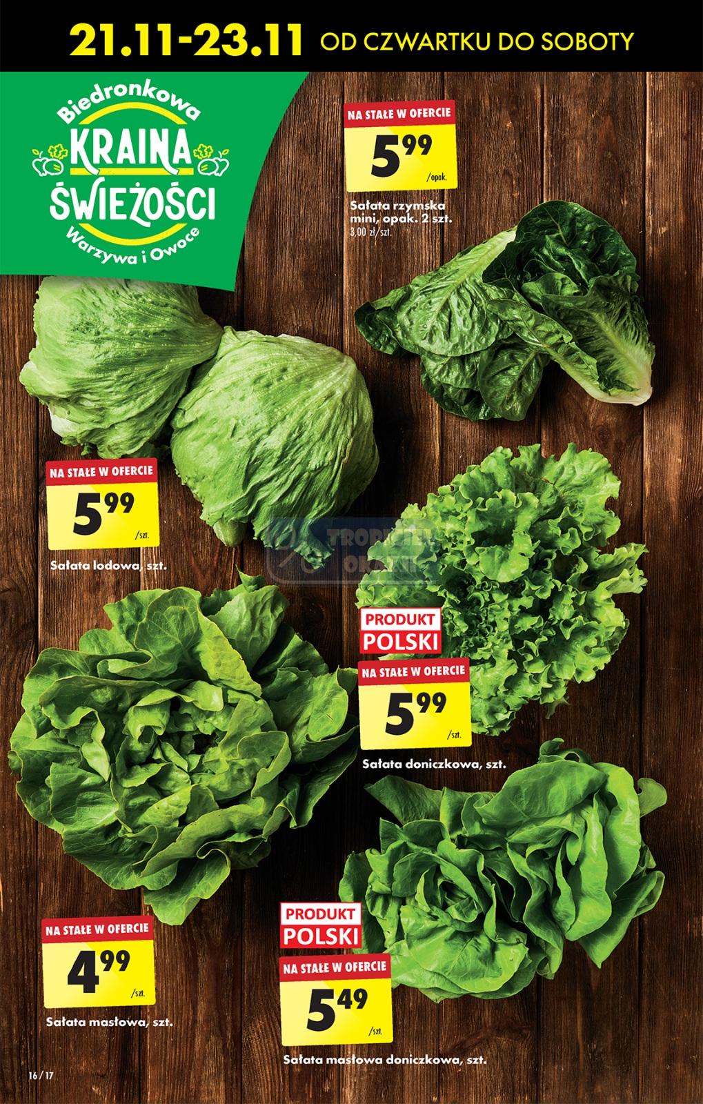 Gazetka promocyjna Biedronka str. 16