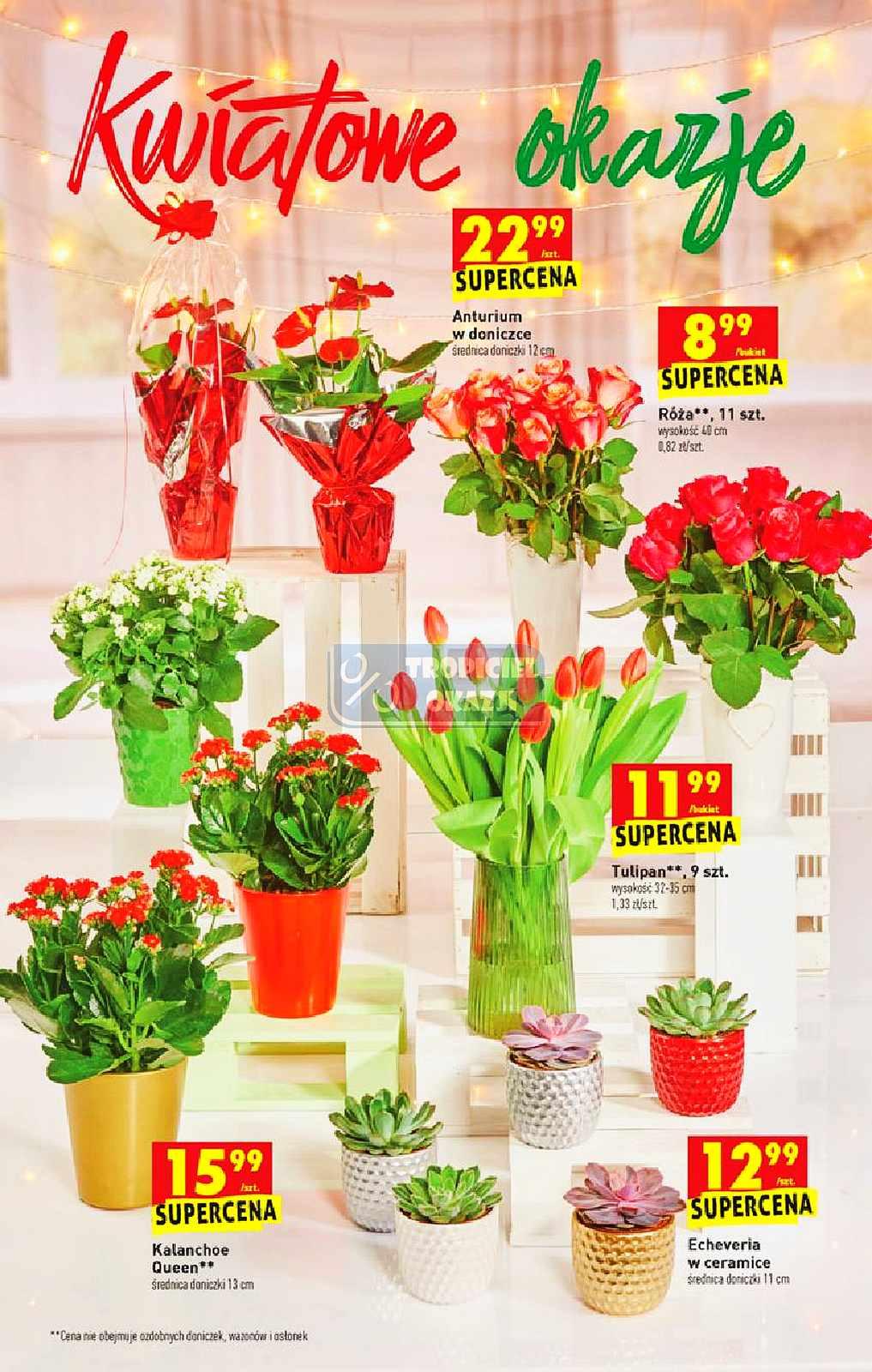 Gazetka promocyjna Biedronka str. 63