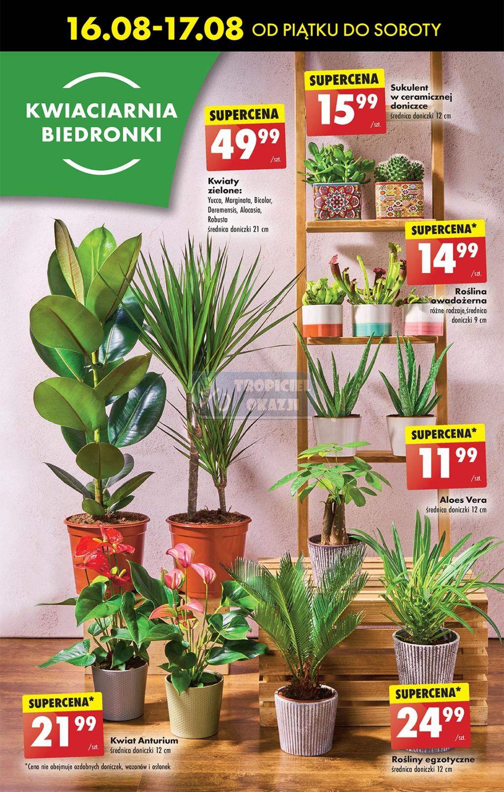 Gazetka promocyjna Biedronka str. 55