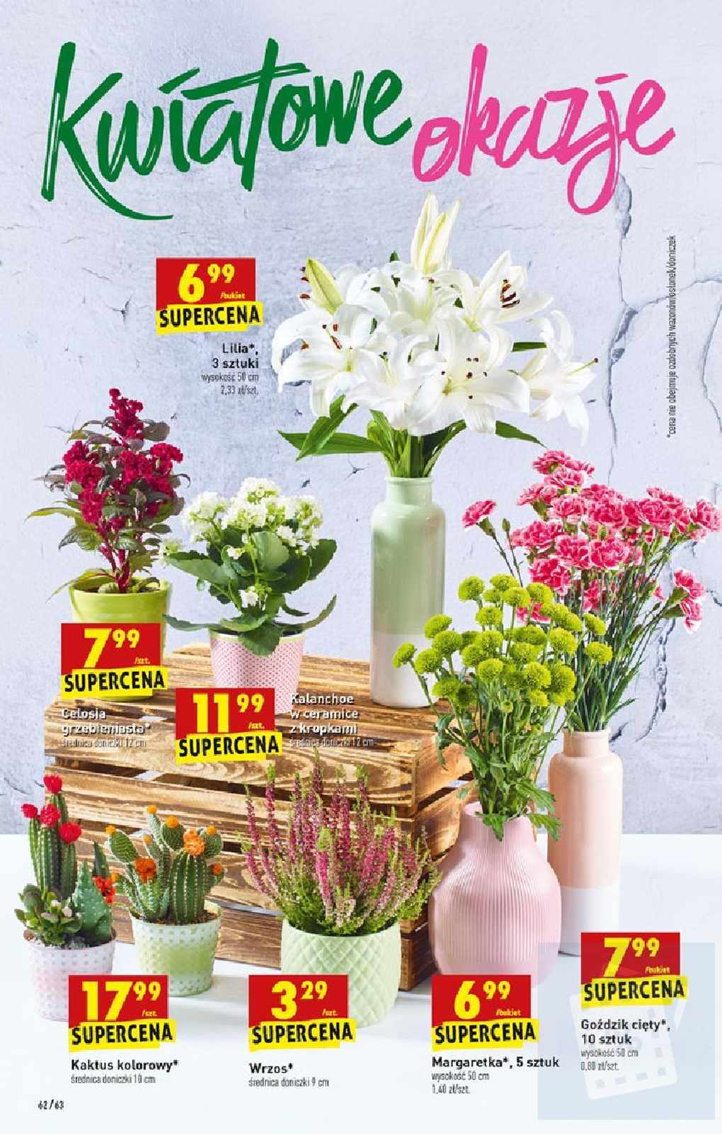 Gazetka promocyjna Biedronka str. 62