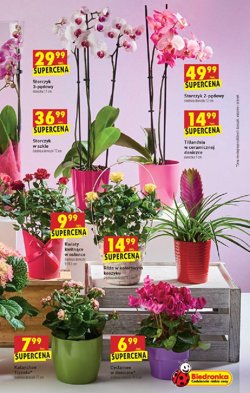 Gazetka promocyjna Biedronka str. 5