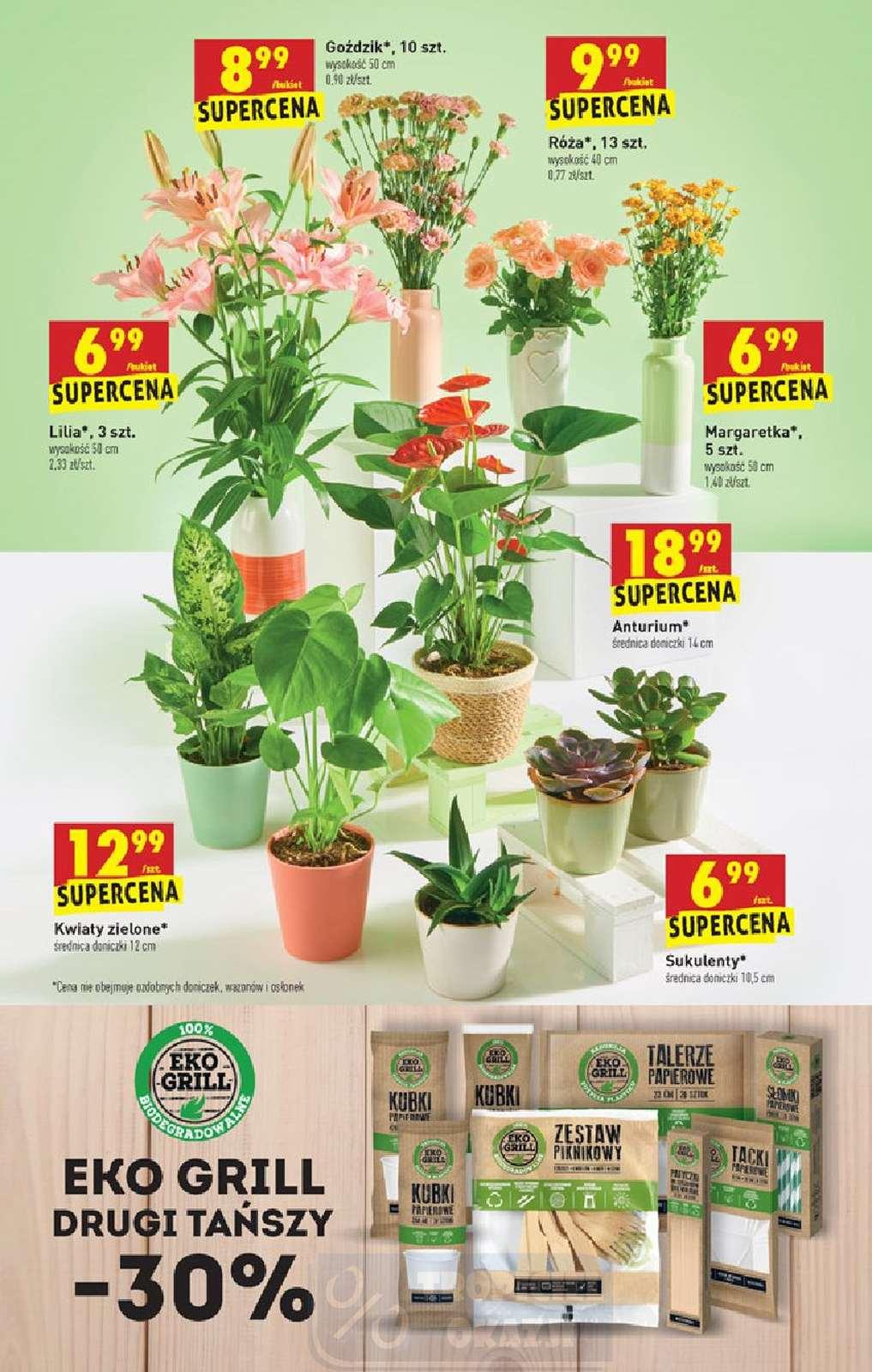 Gazetka promocyjna Biedronka str. 48