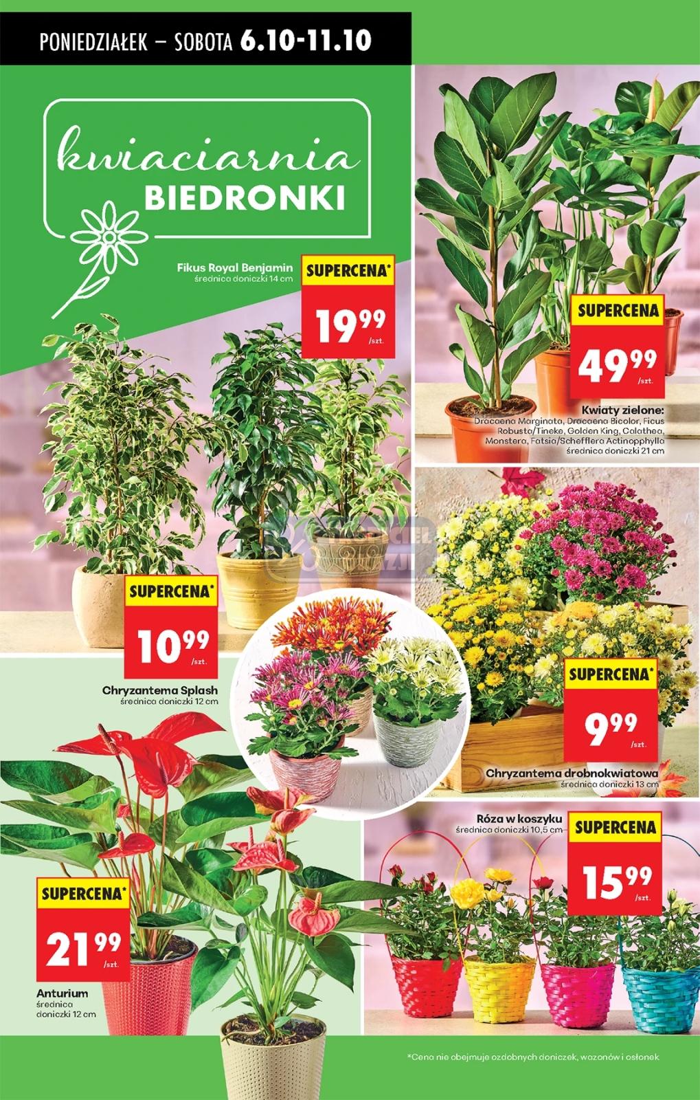 Gazetka promocyjna Biedronka str. 26