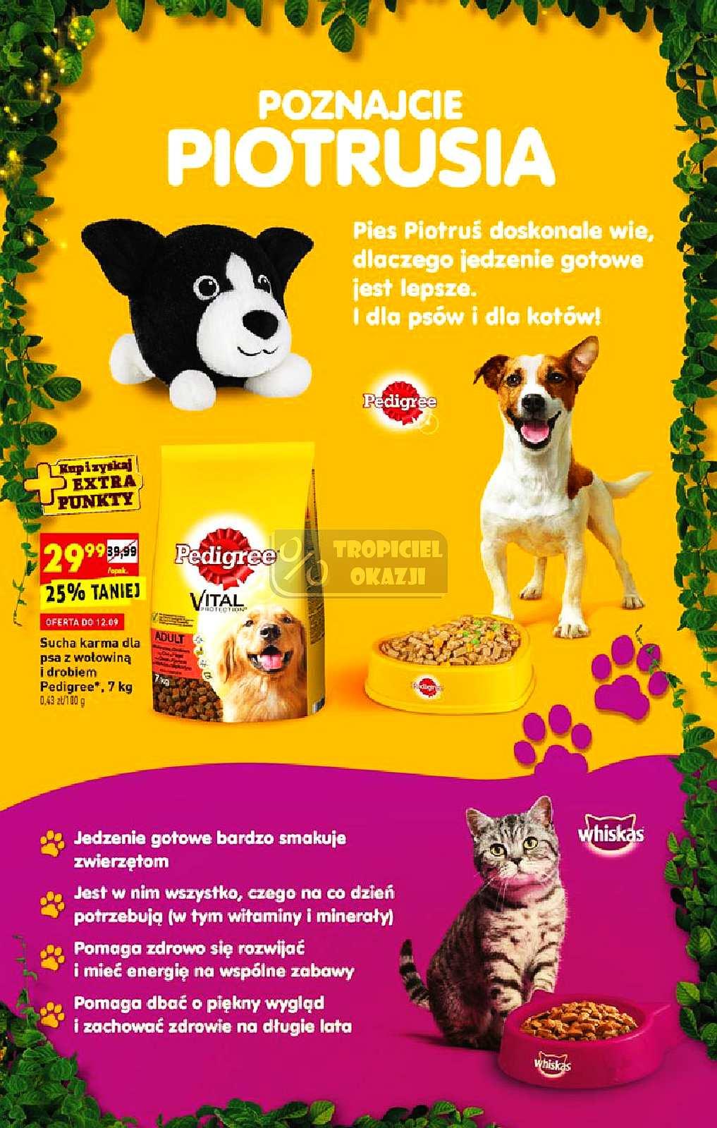 Gazetka promocyjna Biedronka str. 13