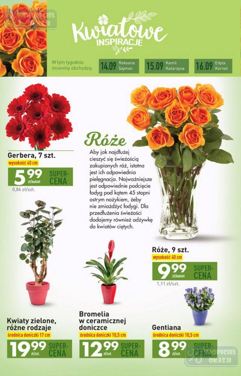 Gazetka promocyjna Biedronka str. 36