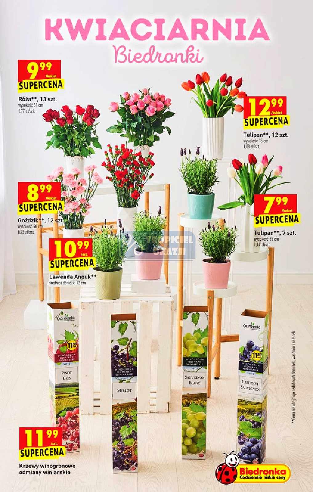 Gazetka promocyjna Biedronka str. 13