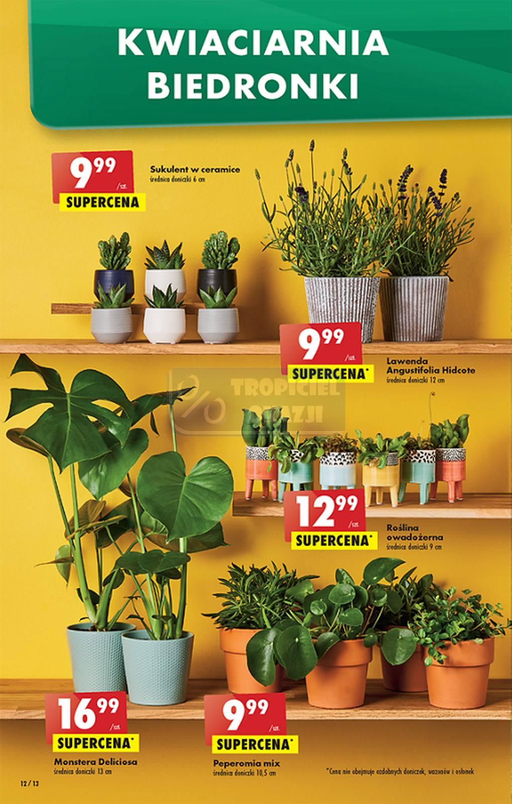 Gazetka promocyjna Biedronka str. 12