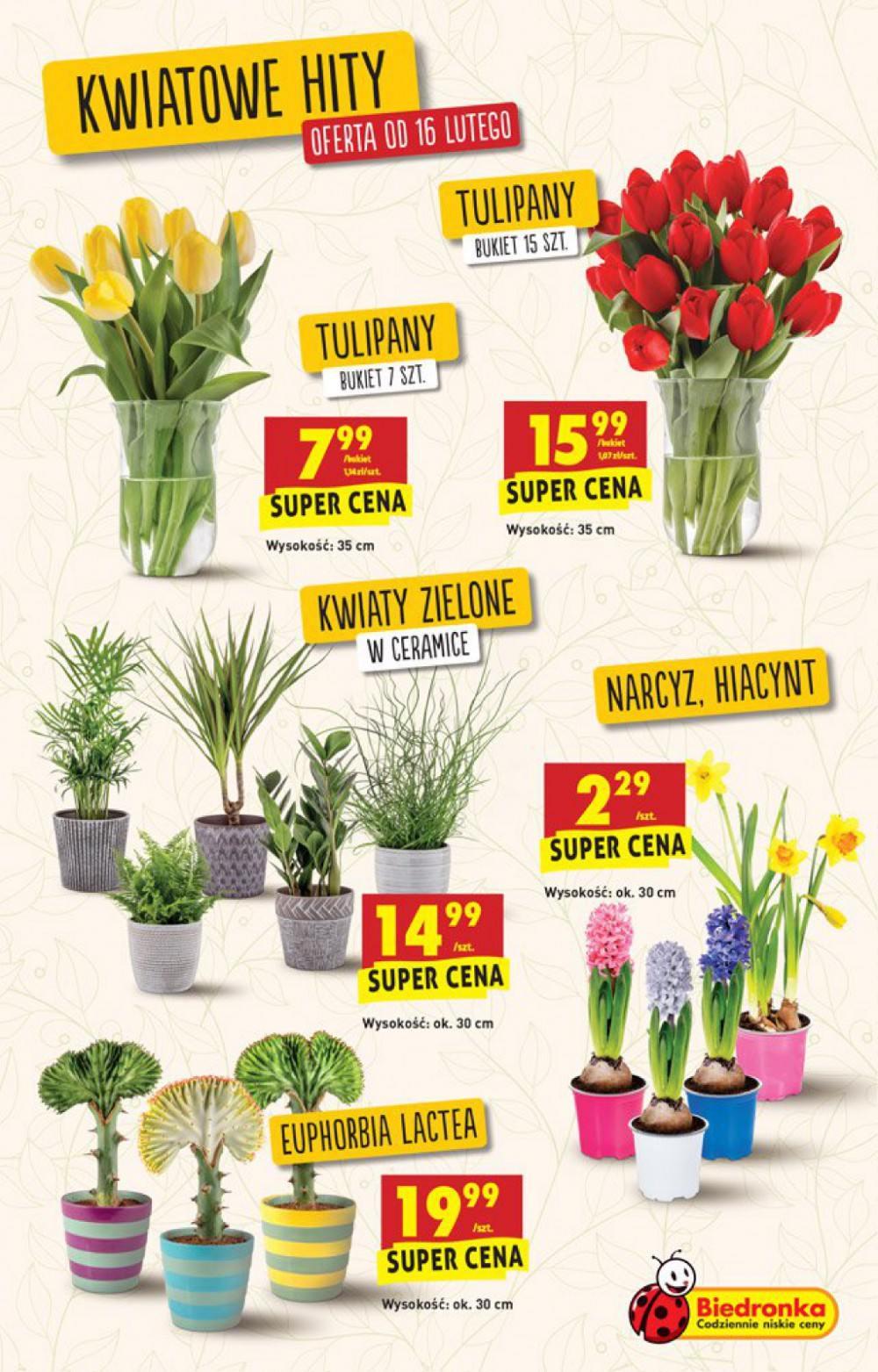 Gazetka promocyjna Biedronka str. 25