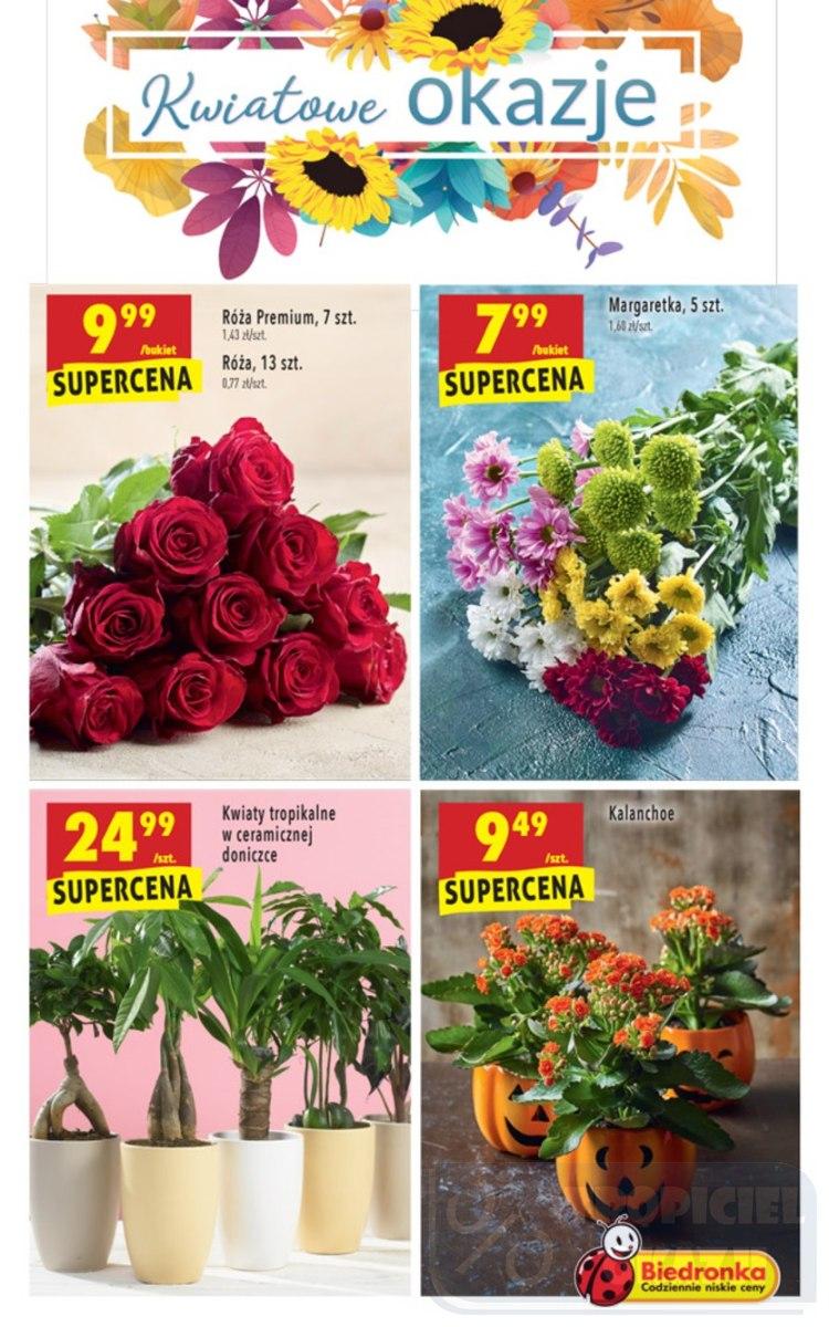 Gazetka promocyjna Biedronka str. 45