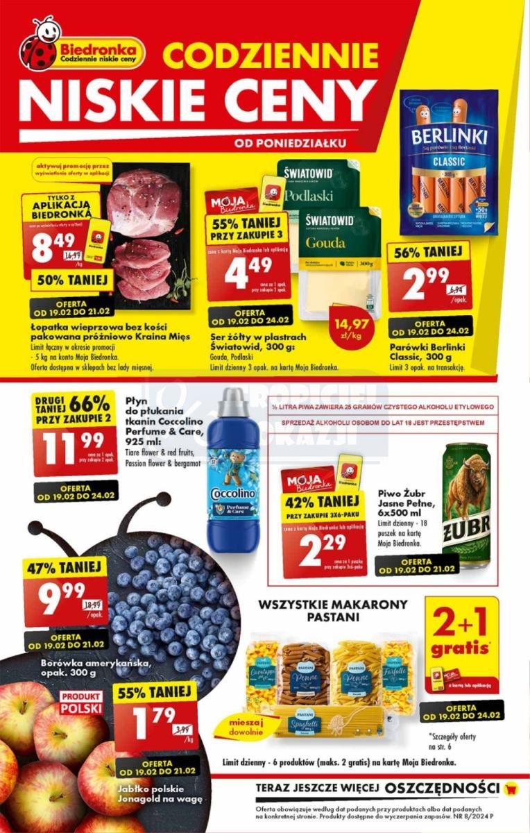 Gazetka promocyjna Biedronka str. 1