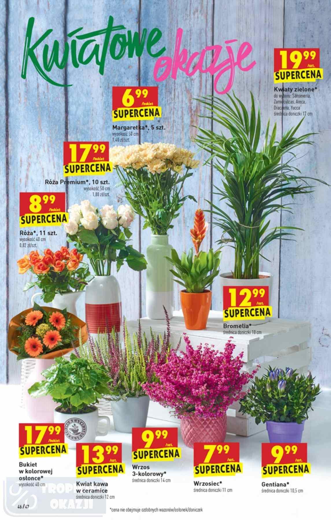 Gazetka promocyjna Biedronka str. 46