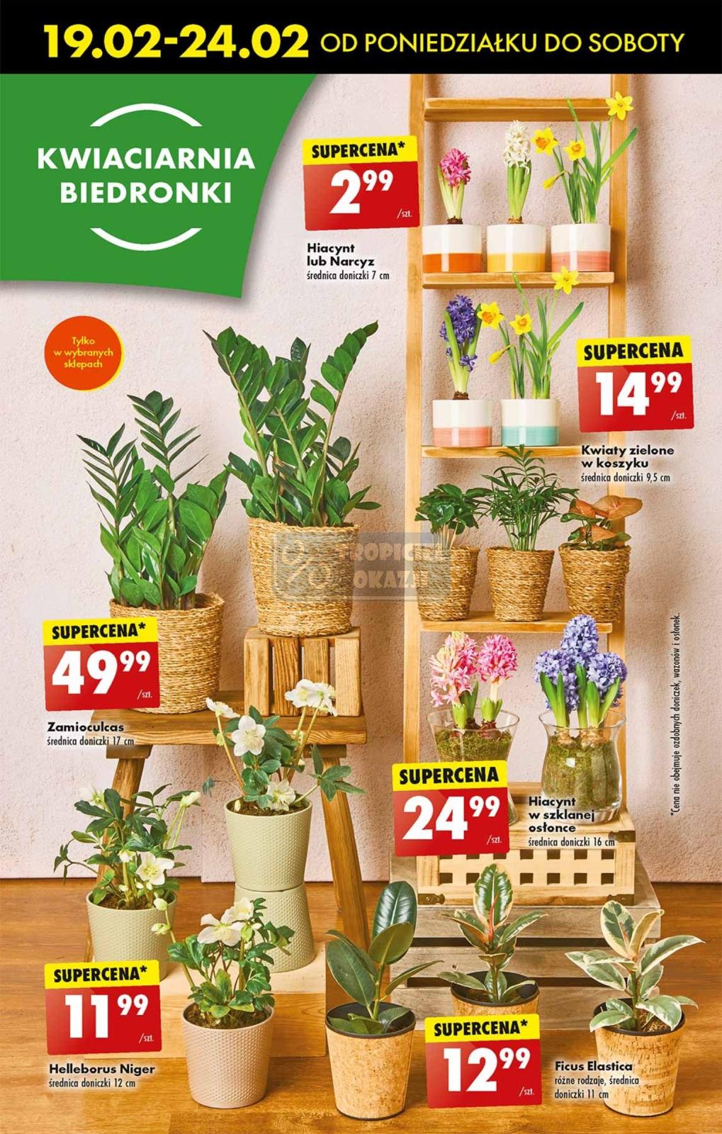 Gazetka promocyjna Biedronka str. 15