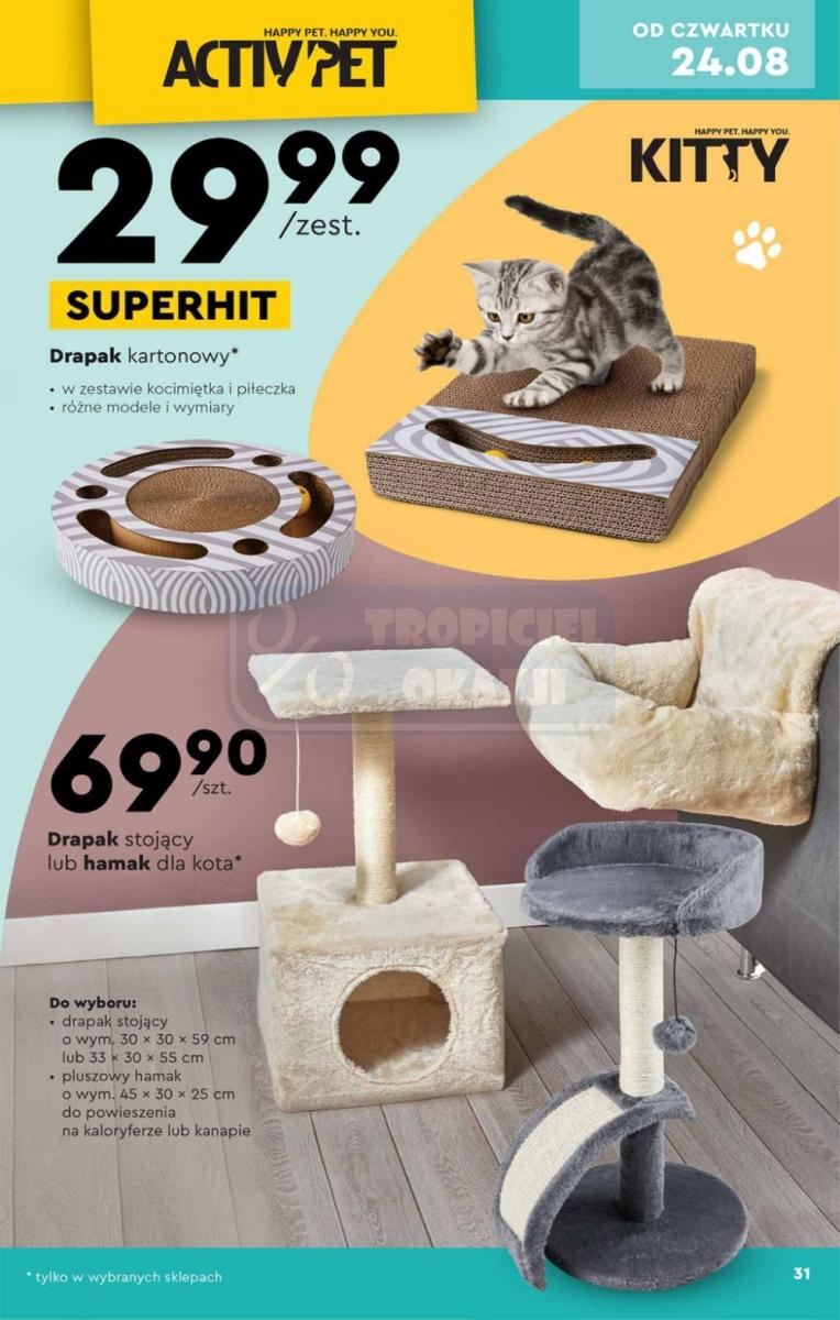 Gazetka promocyjna Biedronka str. 31