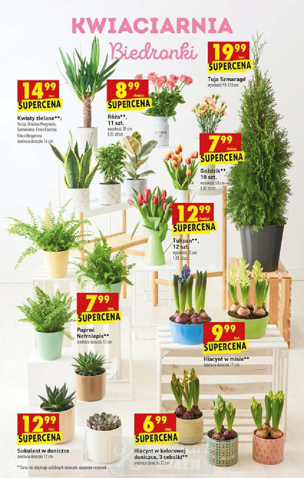 Gazetka promocyjna Biedronka str. 61