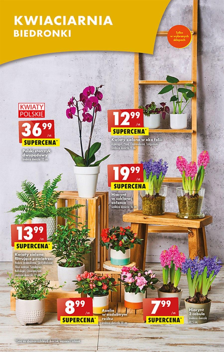 Gazetka promocyjna Biedronka str. 48