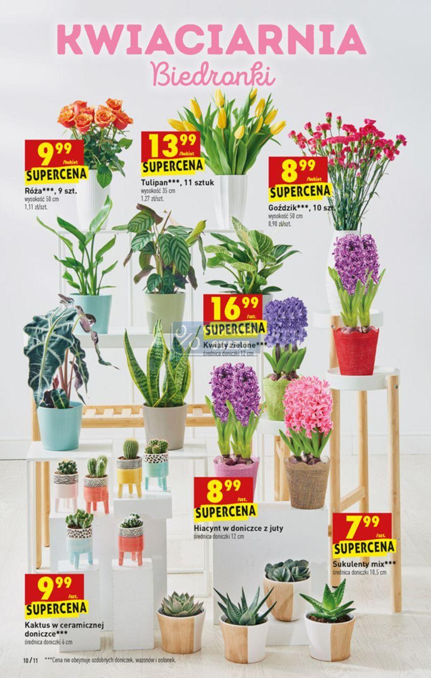 Gazetka promocyjna Biedronka str. 10