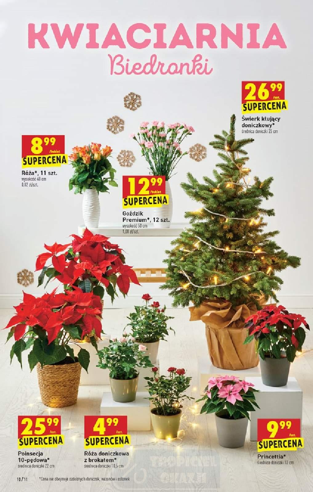 Gazetka promocyjna Biedronka str. 10