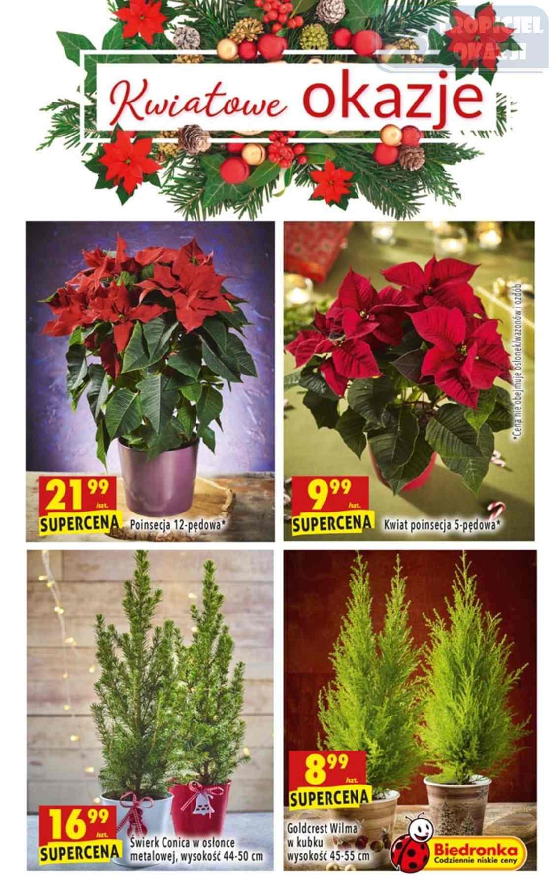 Gazetka promocyjna Biedronka str. 47