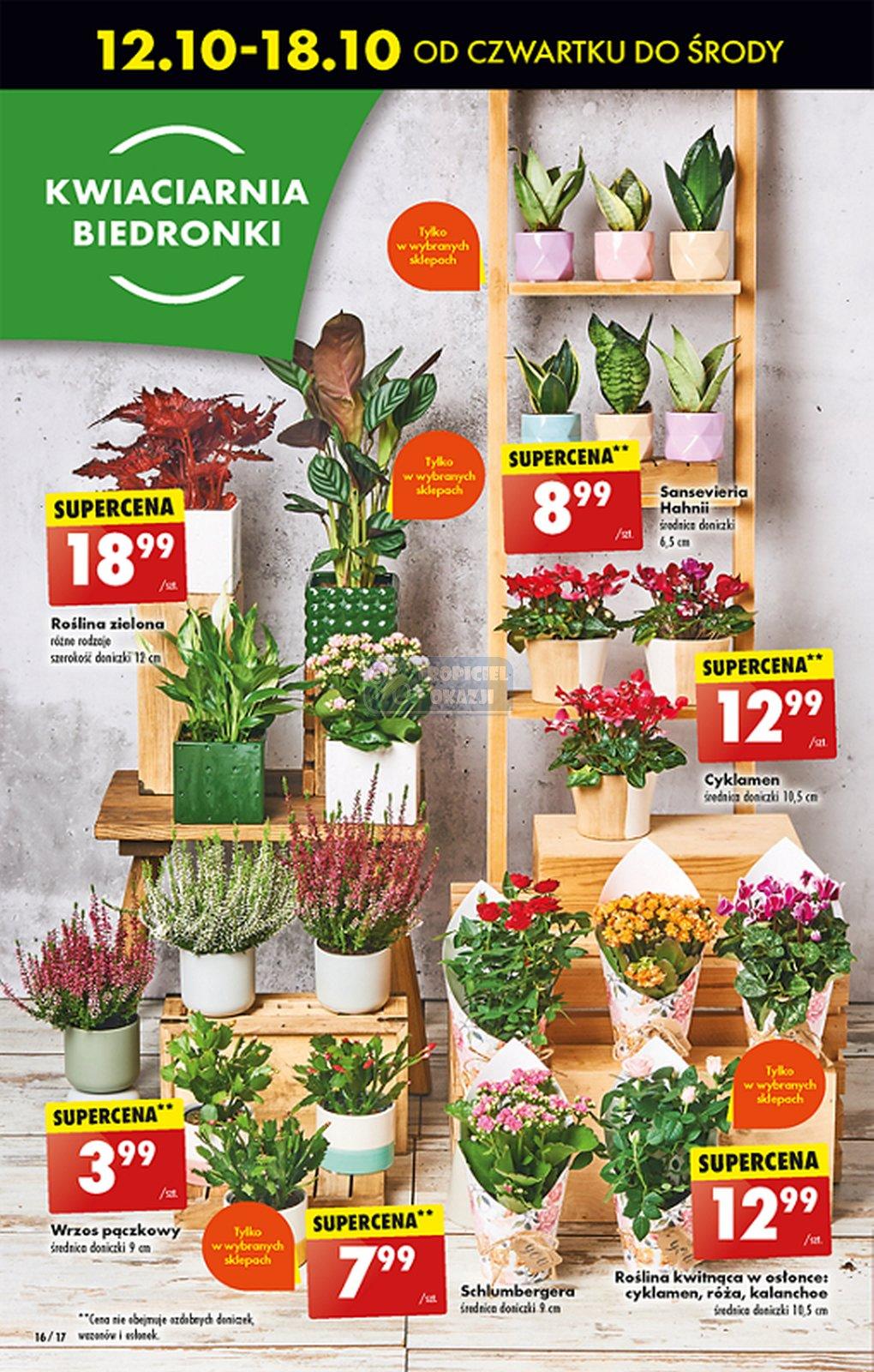 Gazetka promocyjna Biedronka str. 16