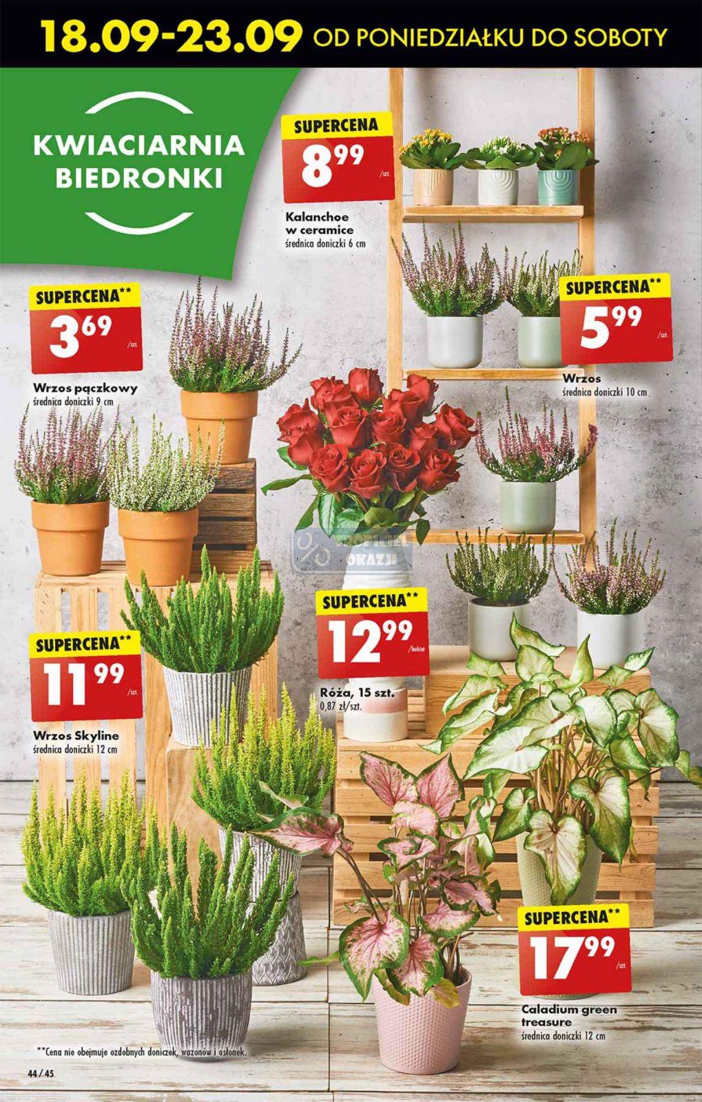 Gazetka promocyjna Biedronka str. 55