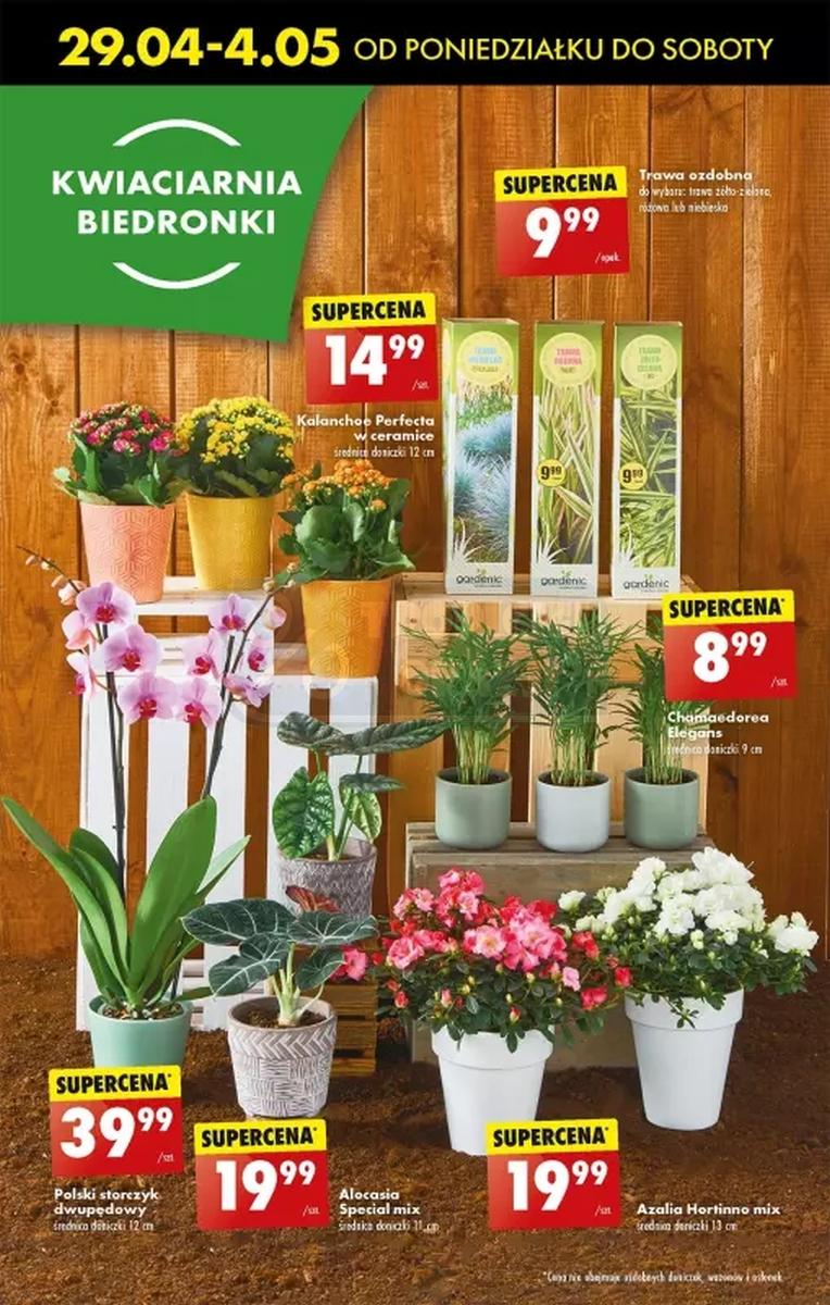 Gazetka promocyjna Biedronka str. 61