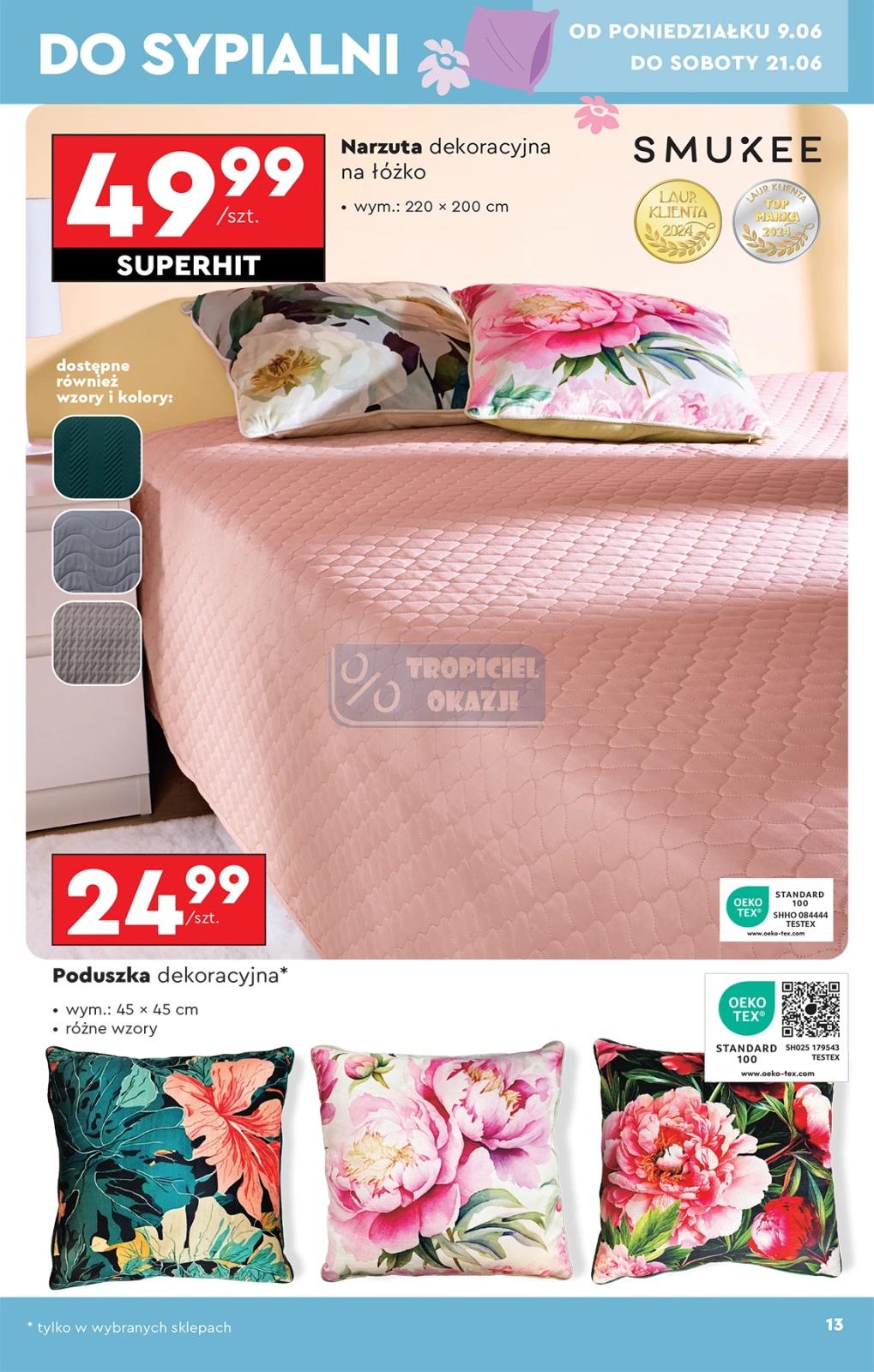 Gazetka promocyjna Biedronka str. 13