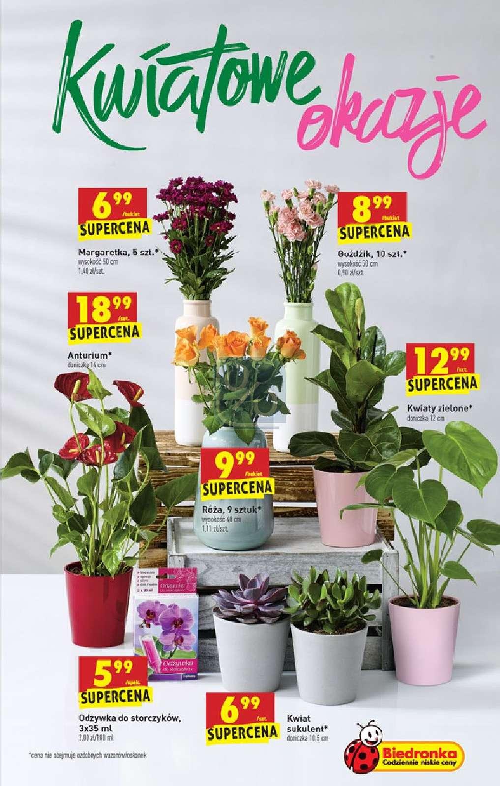 Gazetka promocyjna Biedronka str. 67