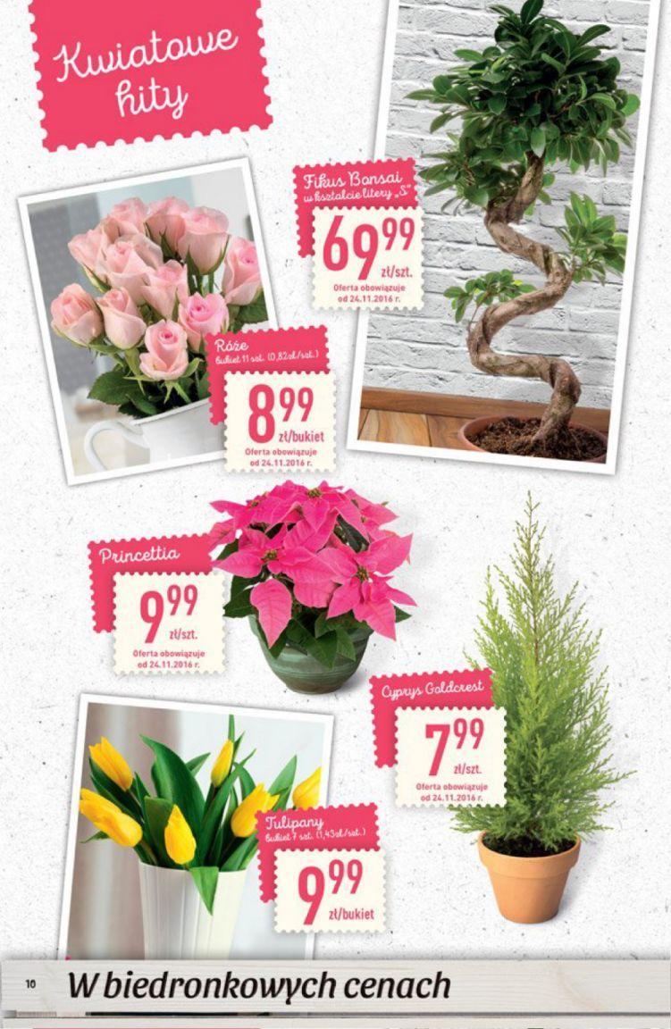 Gazetka promocyjna Biedronka str. 10