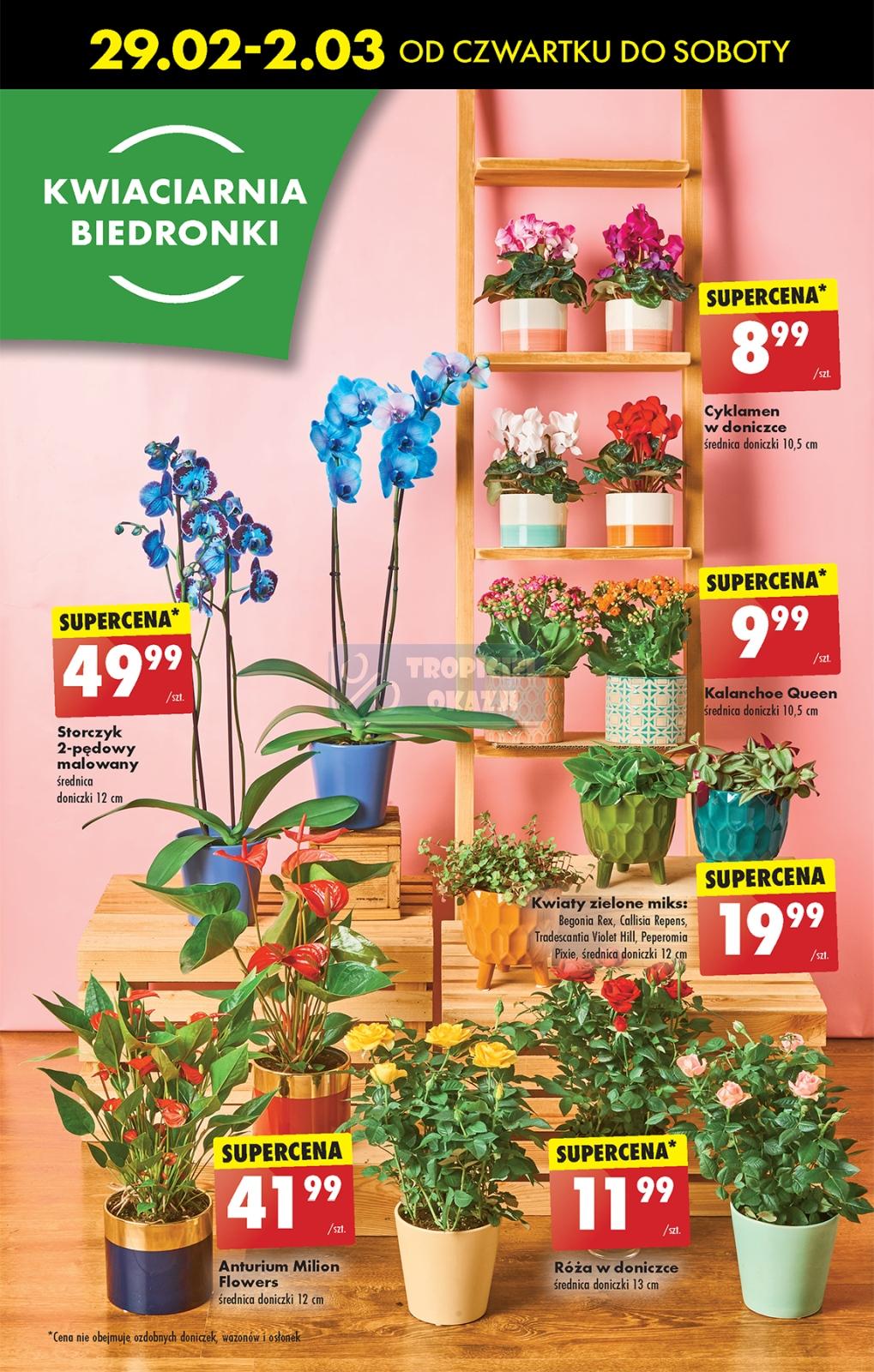 Gazetka promocyjna Biedronka str. 15