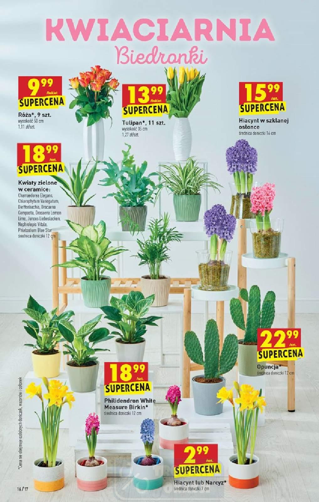 Gazetka promocyjna Biedronka str. 16