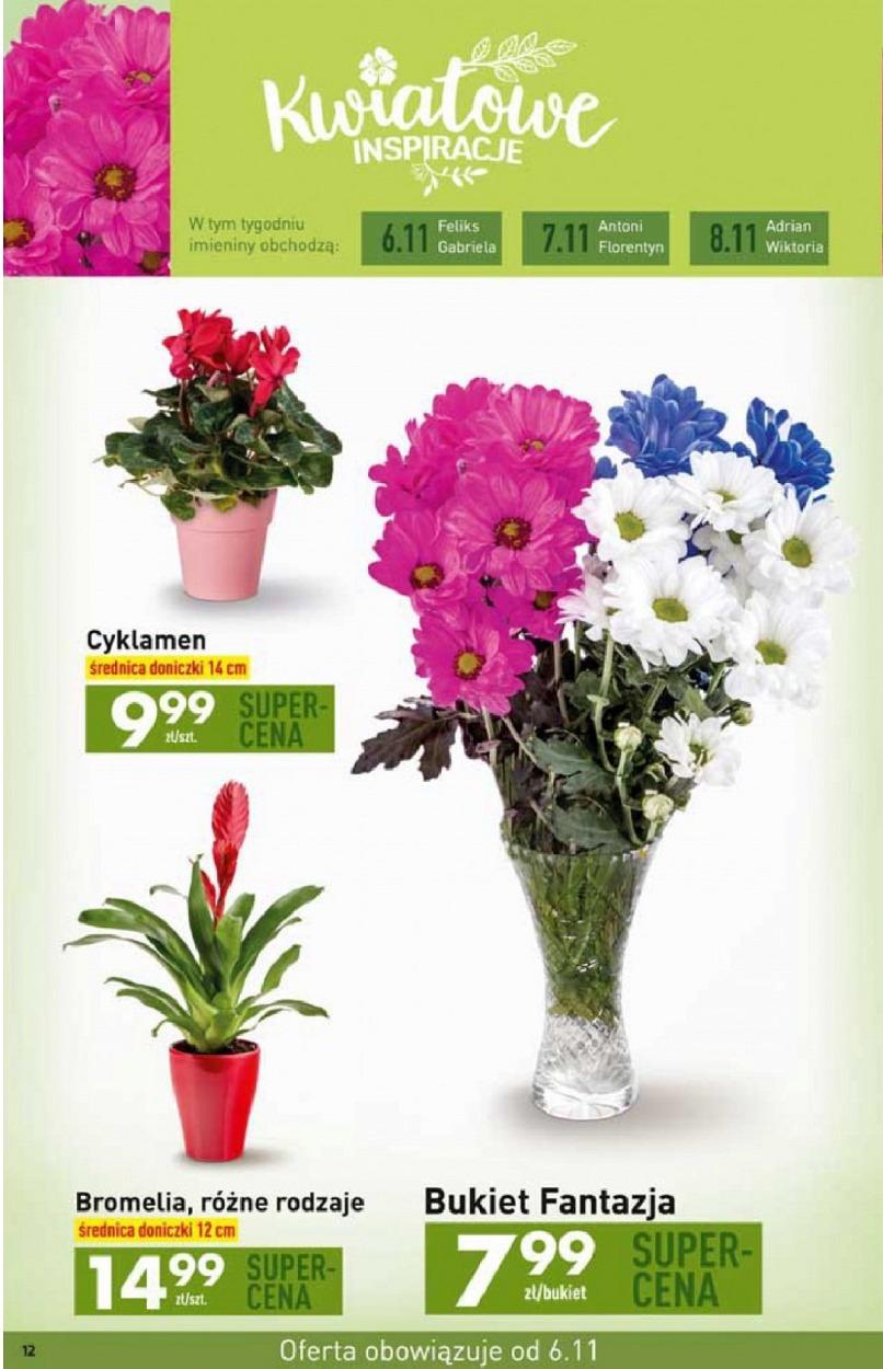 Gazetka promocyjna Biedronka str. 12