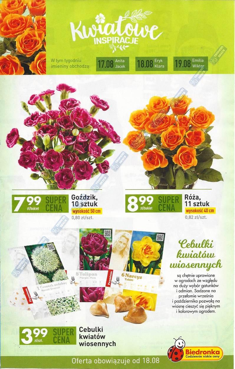 Gazetka promocyjna Biedronka str. 17