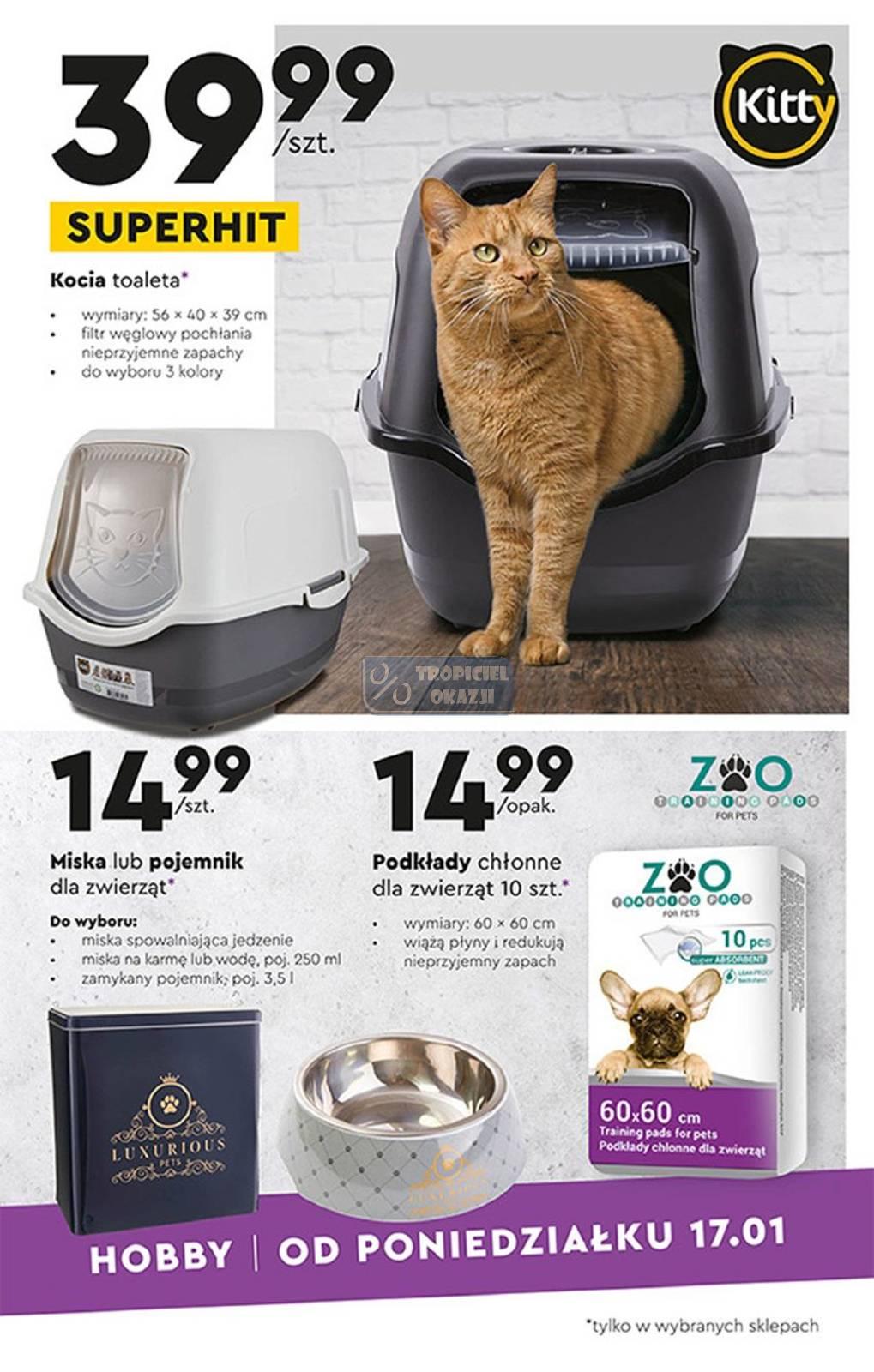 Gazetka promocyjna Biedronka str. 17