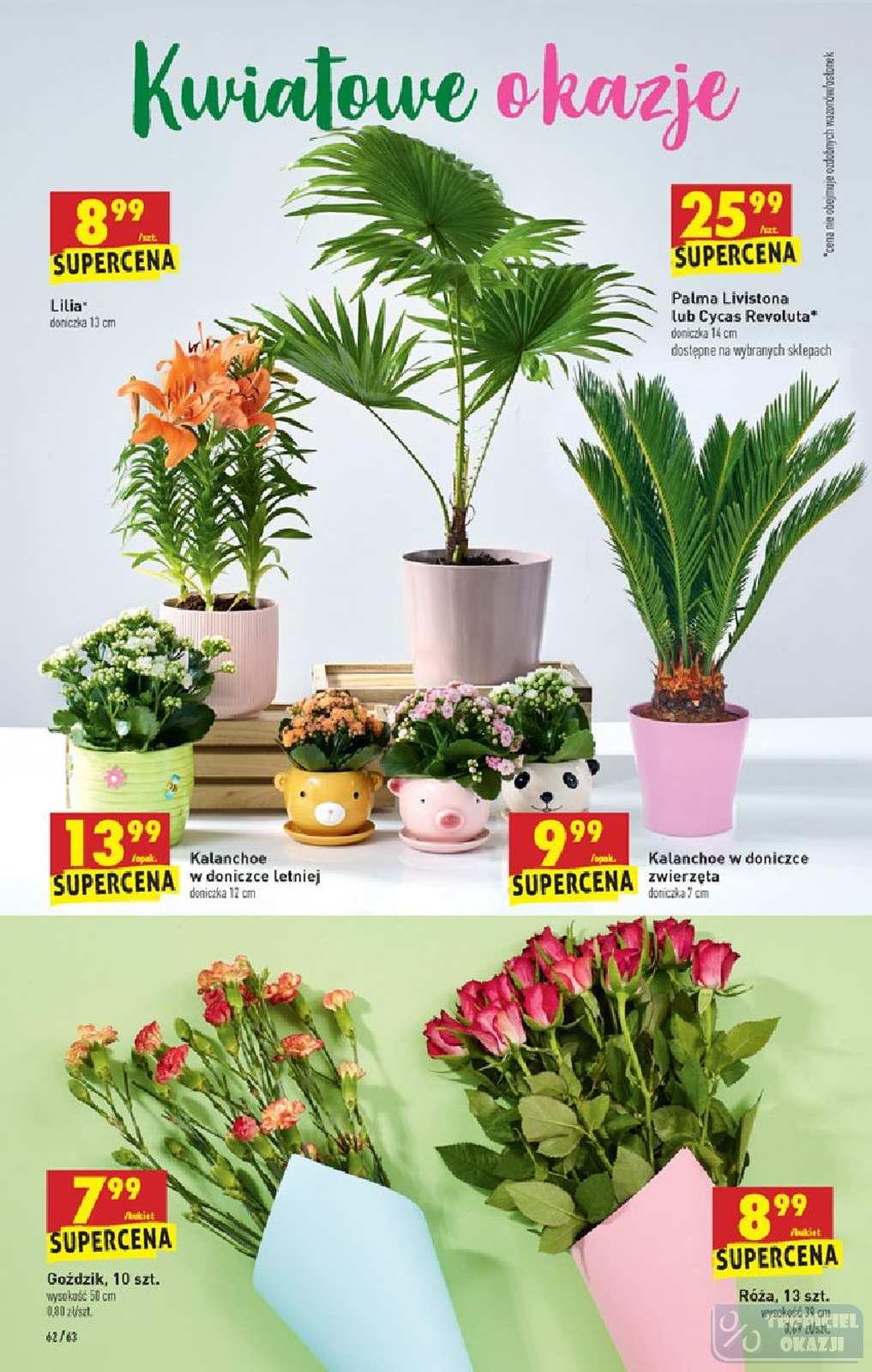 Gazetka promocyjna Biedronka str. 62