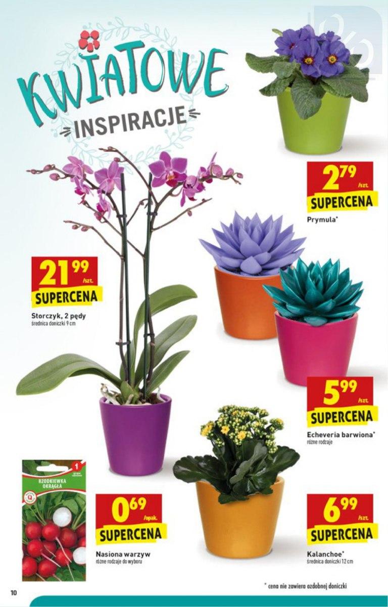 Gazetka promocyjna Biedronka str. 10