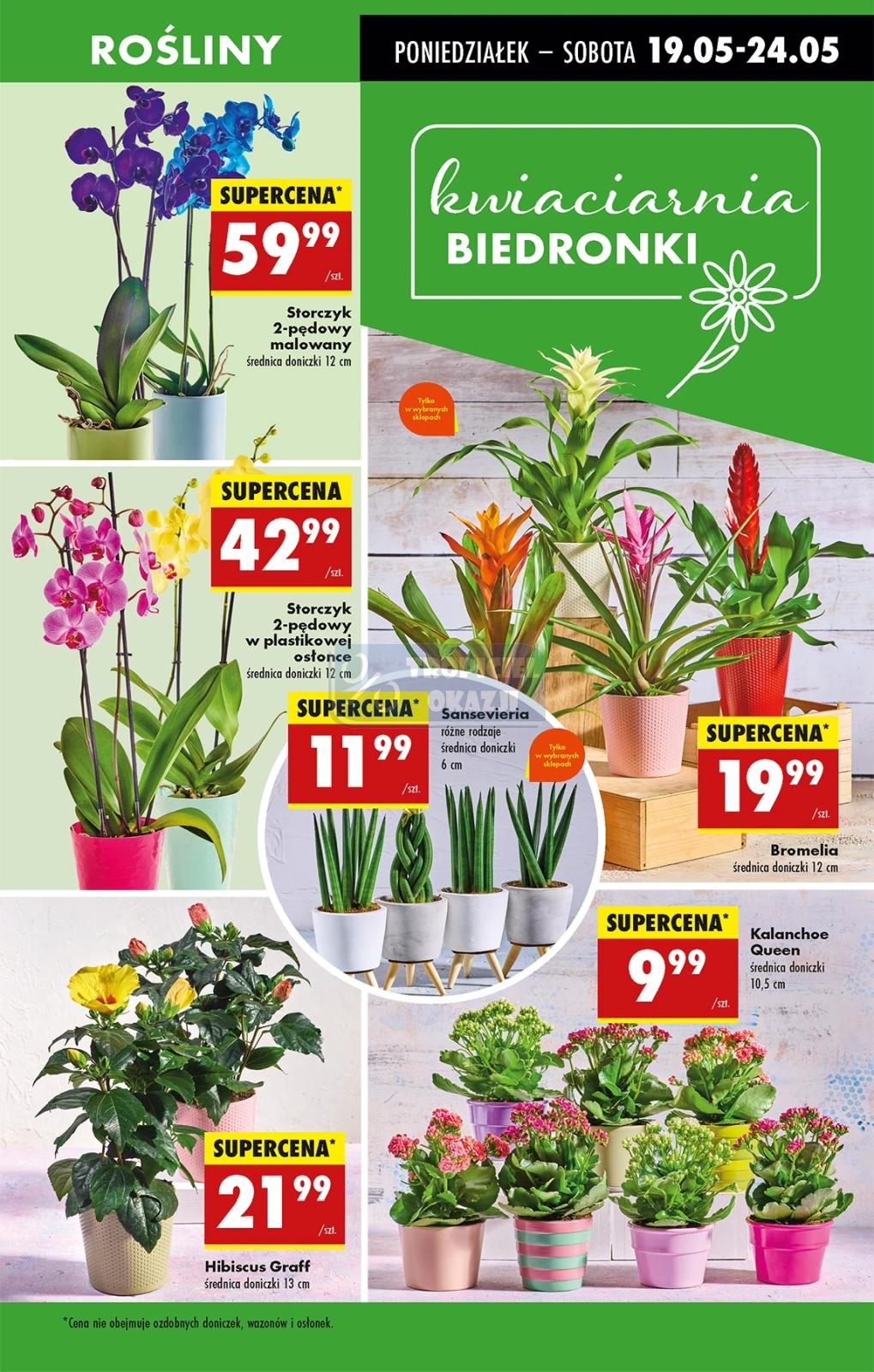 Gazetka promocyjna Biedronka str. 19