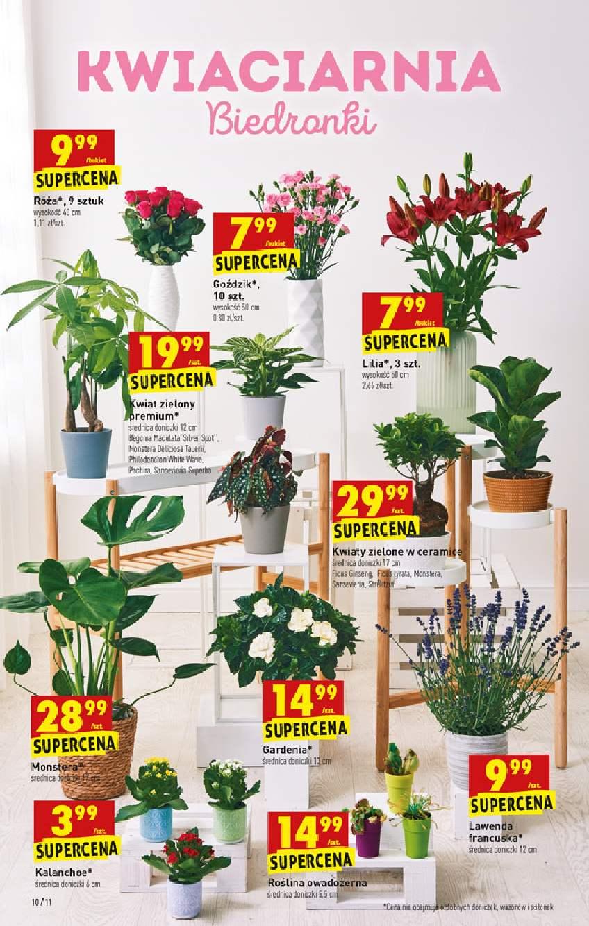 Gazetka promocyjna Biedronka str. 10