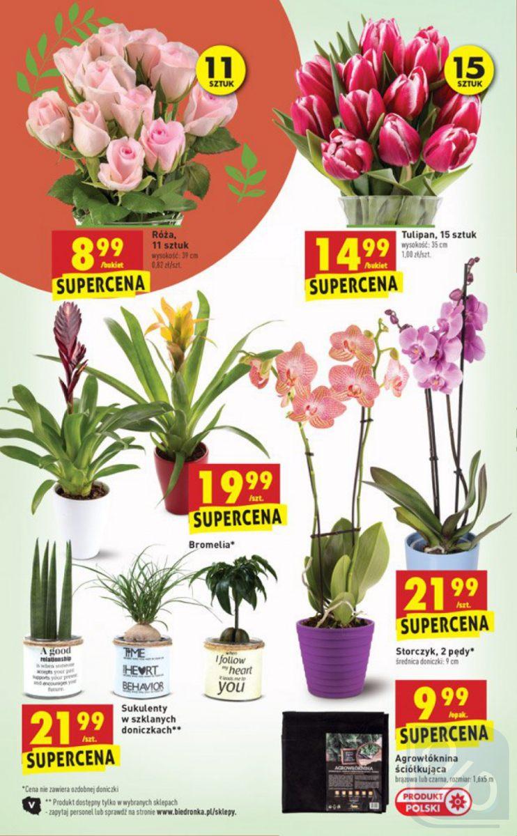 Gazetka promocyjna Biedronka str. 38