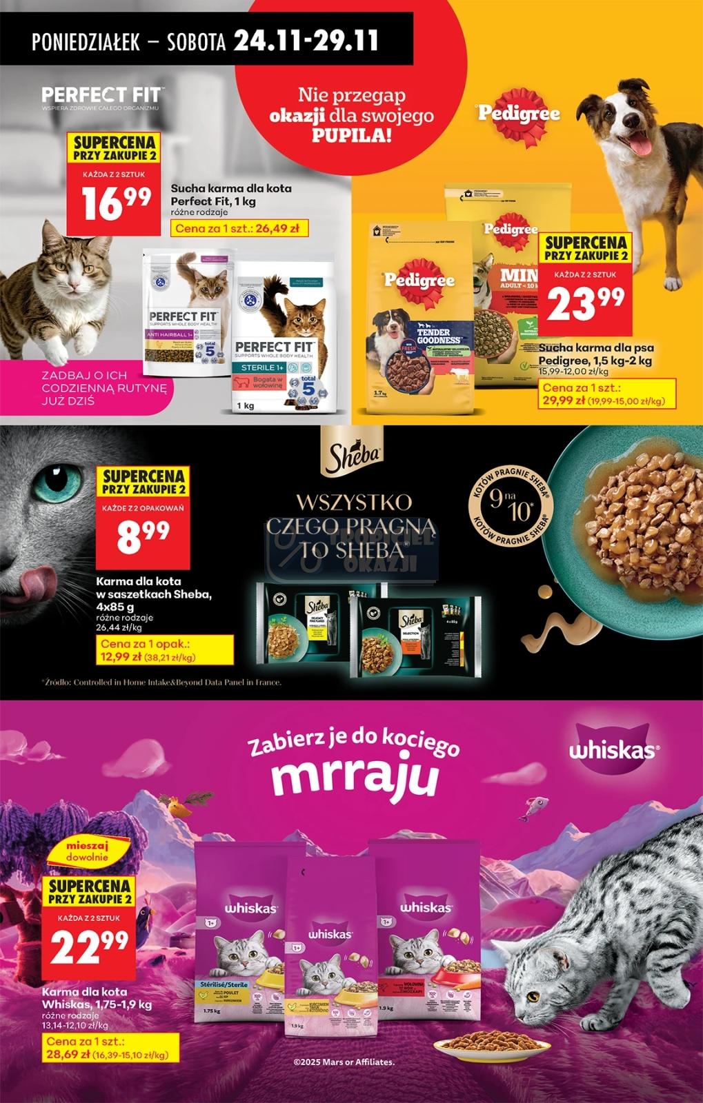 Gazetka promocyjna Biedronka str. 81