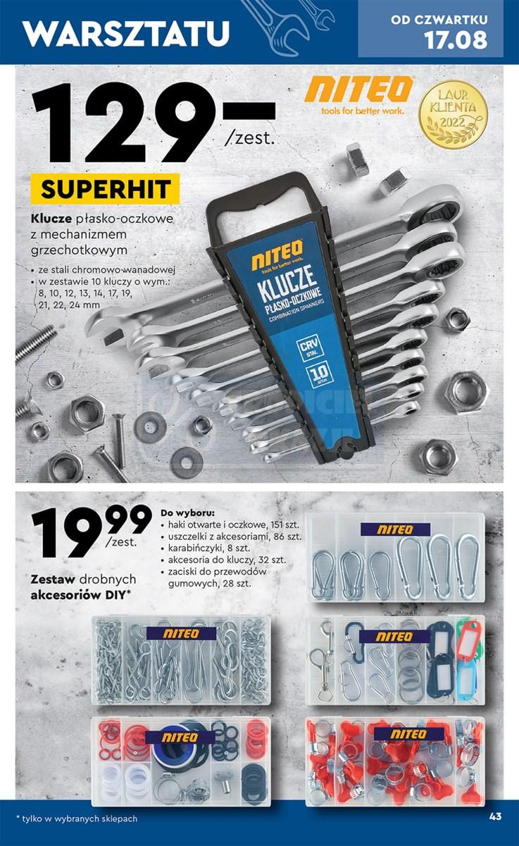 Gazetka promocyjna Biedronka str. 43