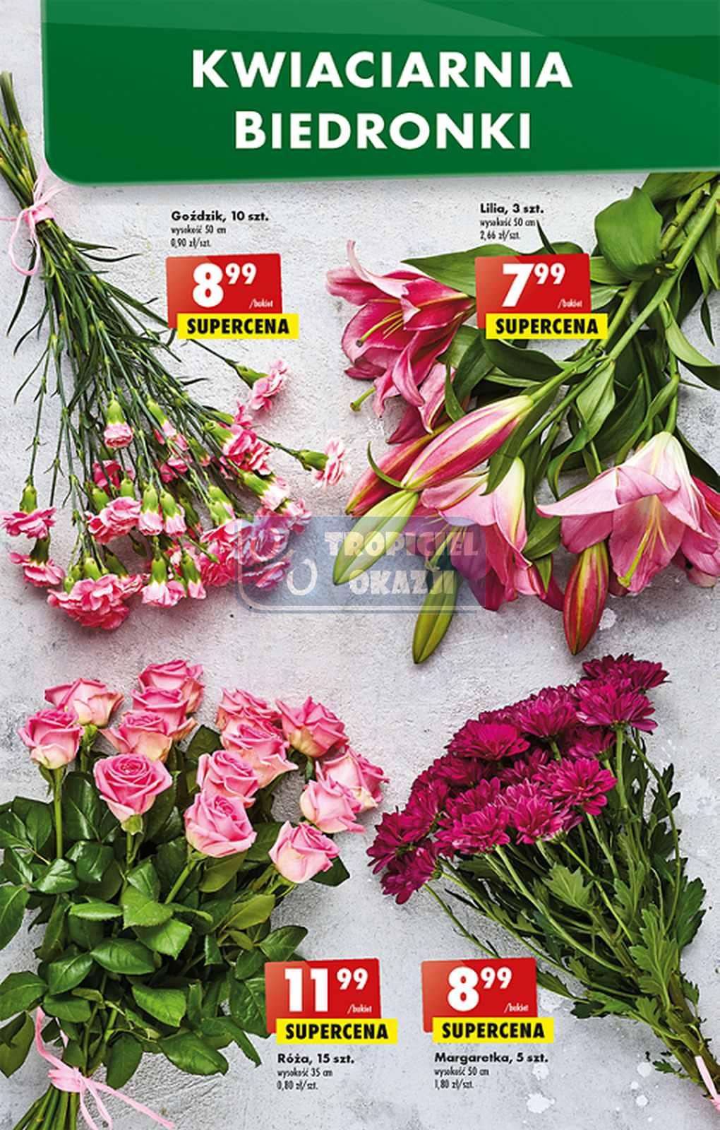 Gazetka promocyjna Biedronka str. 49