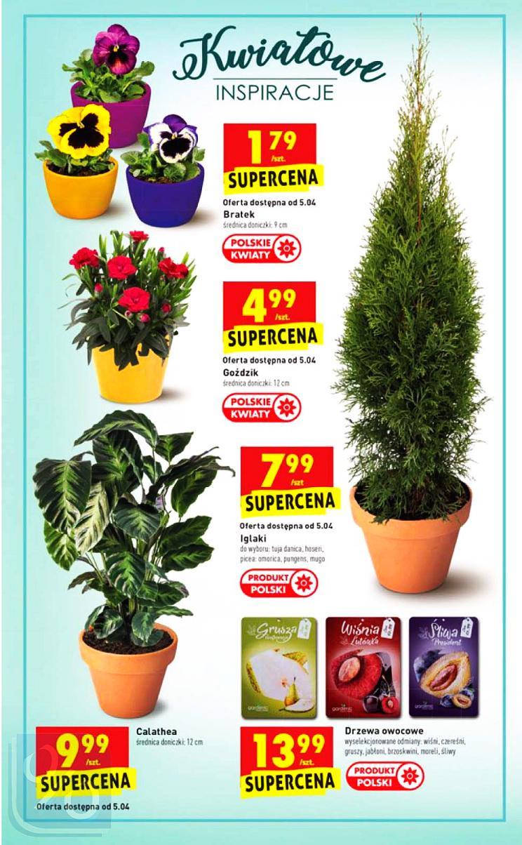 Gazetka promocyjna Biedronka str. 58