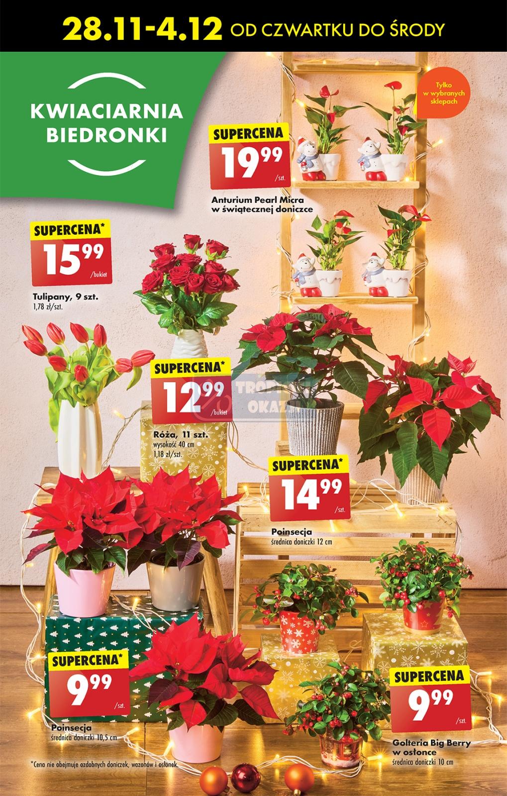 Gazetka promocyjna Biedronka str. 67