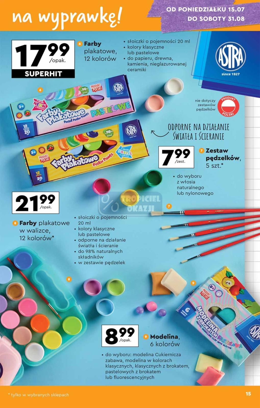 Gazetka promocyjna Biedronka str. 15