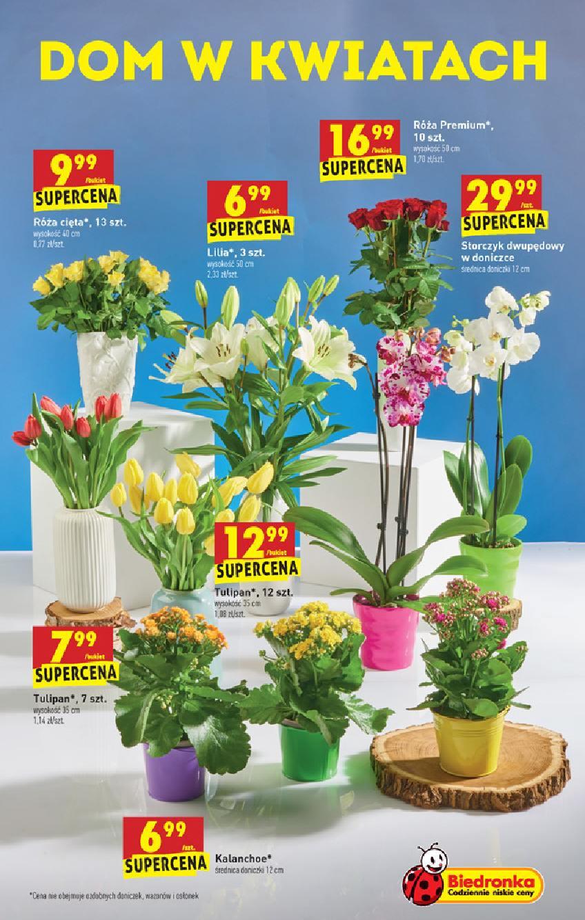 Gazetka promocyjna Biedronka str. 45