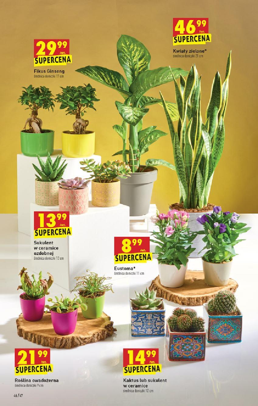 Gazetka promocyjna Biedronka str. 44