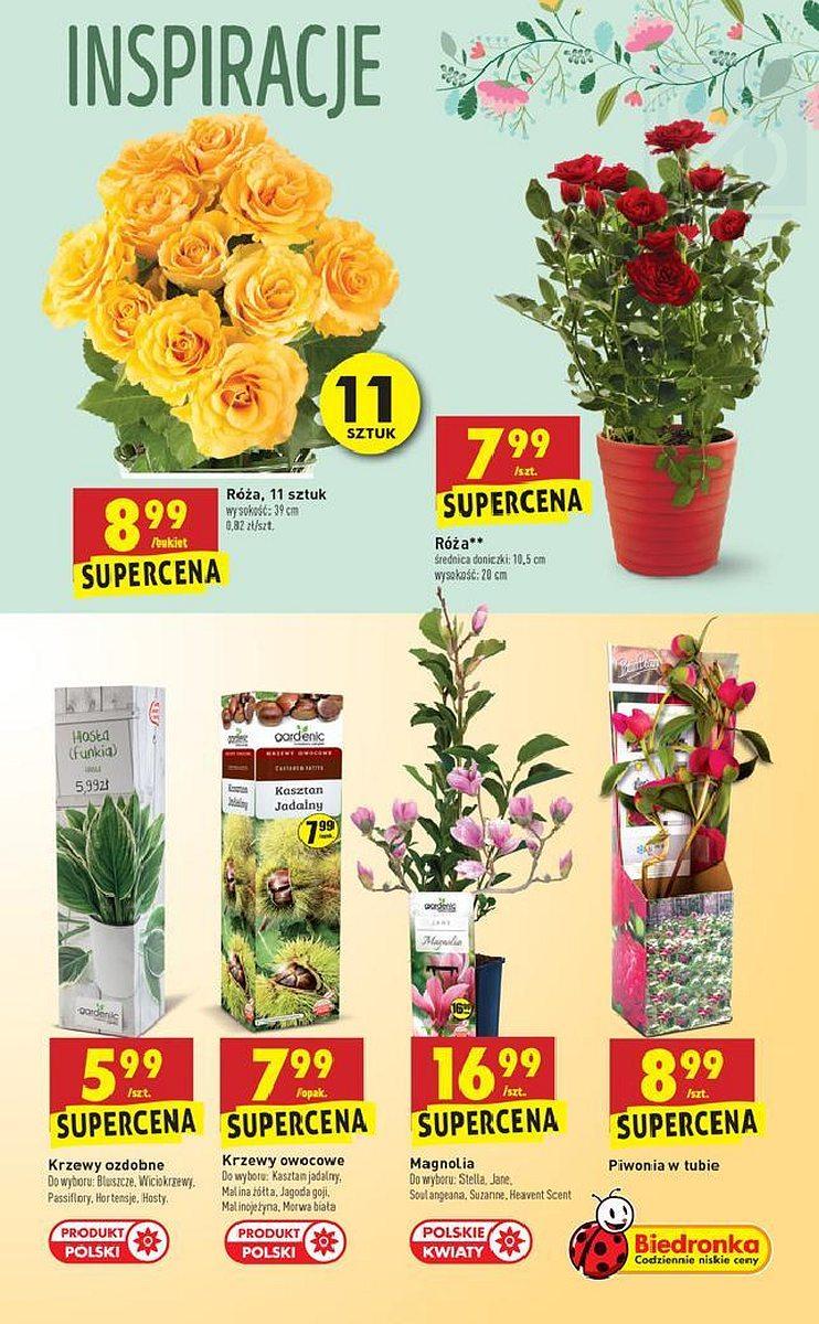 Gazetka promocyjna Biedronka str. 35
