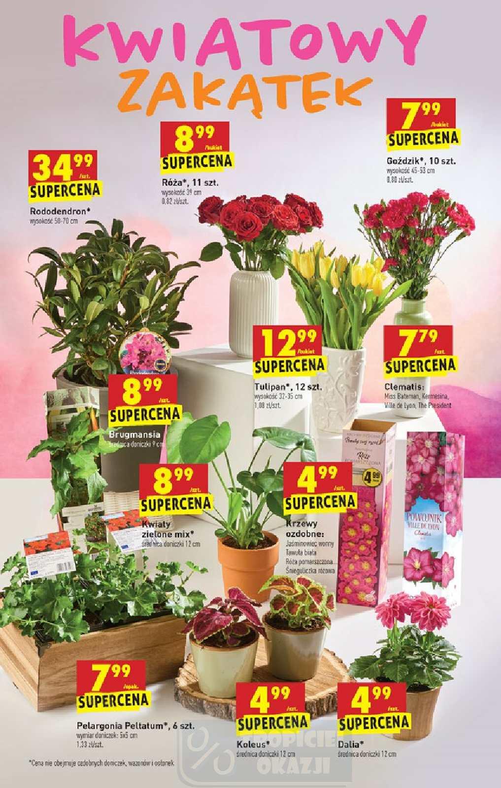 Gazetka promocyjna Biedronka str. 35