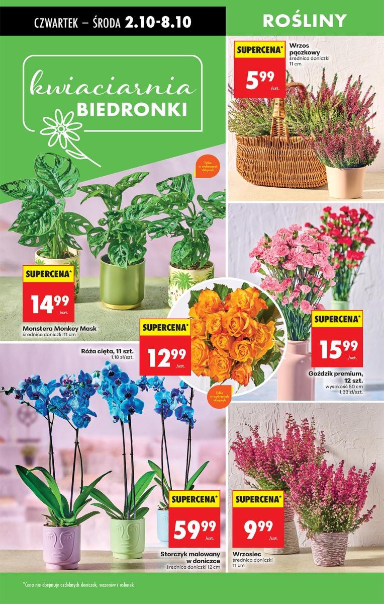 Gazetka promocyjna Biedronka str. 62