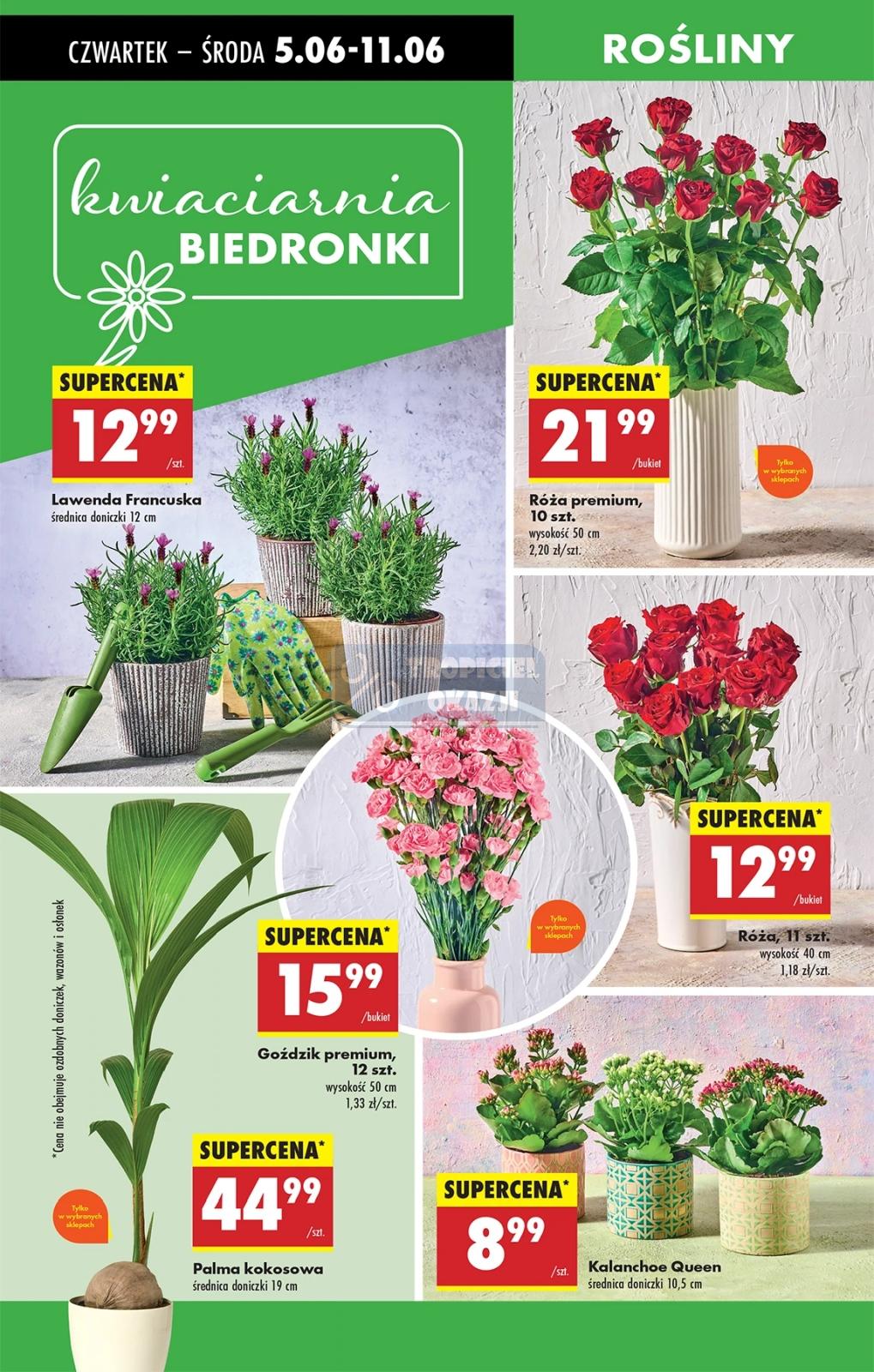 Gazetka promocyjna Biedronka str. 65